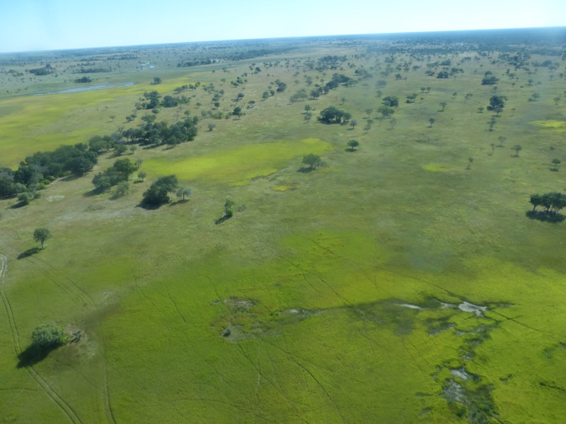 okavango botswana